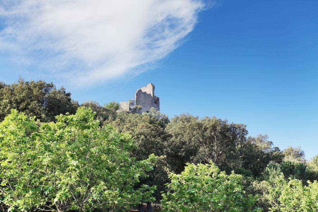 Residence Odalys La Palmeraie Grimaud Zewnętrze zdjęcie
